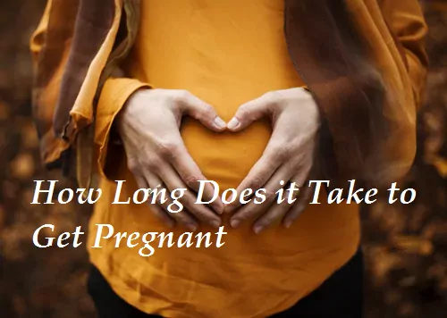 how long does it take to get pregnant